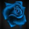 Nuit_Bleue
