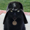Patton